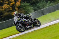 PJ-Motorsport-Photography-2020;anglesey;brands-hatch;cadwell-park;croft;donington-park;enduro-digital-images;event-digital-images;eventdigitalimages;mallory;no-limits;oulton-park;peter-wileman-photography;racing-digital-images;silverstone;snetterton;trackday-digital-images;trackday-photos;vmcc-banbury-run;welsh-2-day-enduro